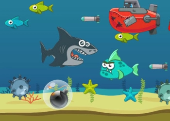Crazy Shark